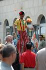thumbs/dsc_1597.jpg.jpg