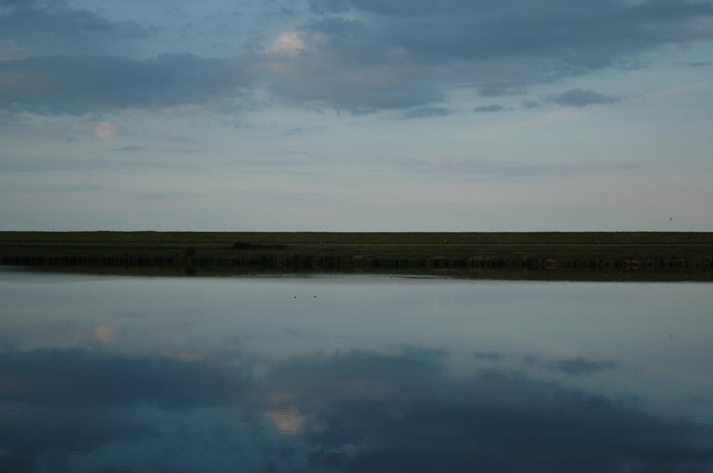 dsc_0410.jpg.jpg