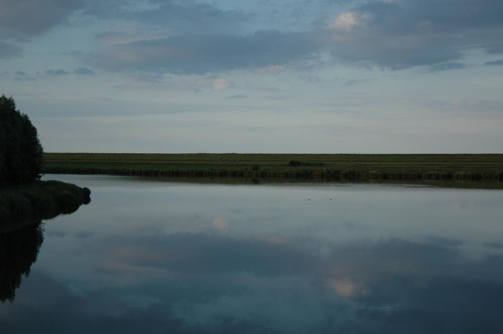 dsc_0411.jpg.jpg