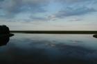 thumbs/dsc_0407.jpg.jpg