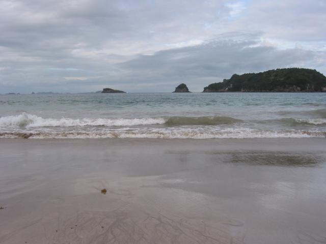 IMG_3145.JPG.jpg