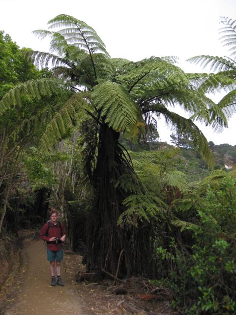 IMG_3177.JPG.jpg