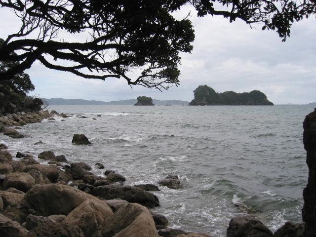 IMG_3181.JPG.jpg