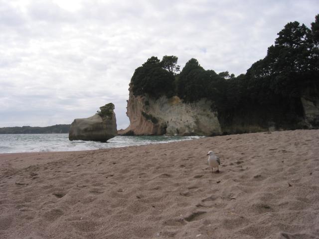 IMG_3182.JPG.jpg