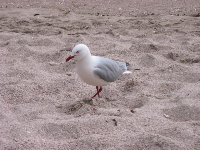 IMG_3183.JPG.jpg