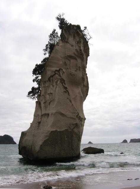 IMG_3195.JPG.jpg