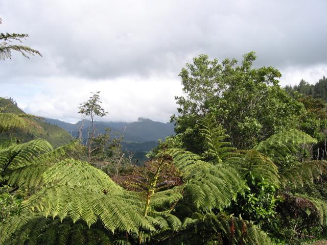 IMG_3225.JPG.jpg