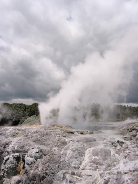 IMG_3243.JPG.jpg
