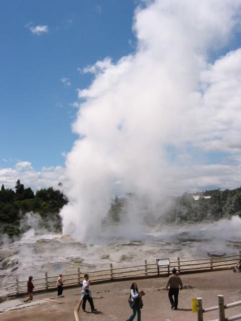 IMG_3245.JPG.jpg