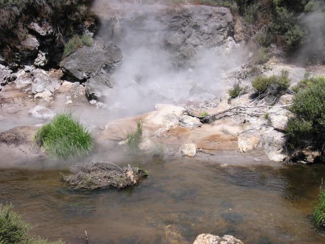 IMG_3248.JPG.jpg