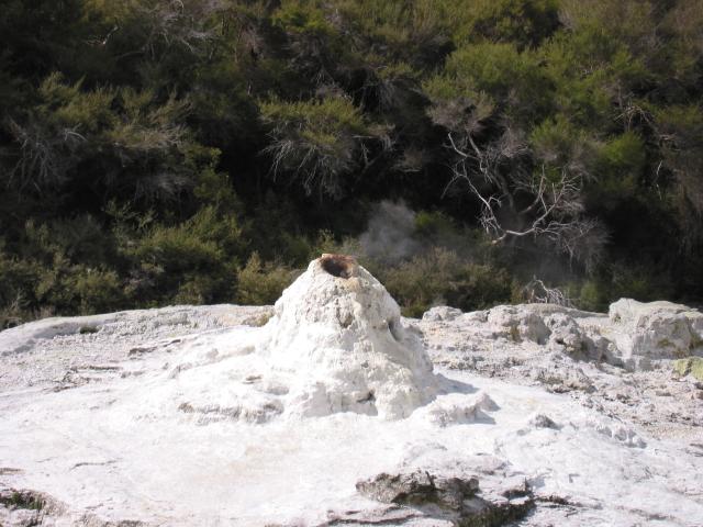 IMG_3289.JPG.jpg