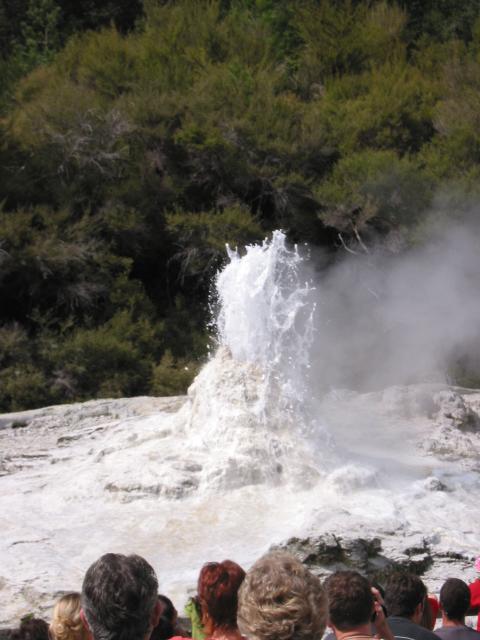 IMG_3295.JPG.jpg