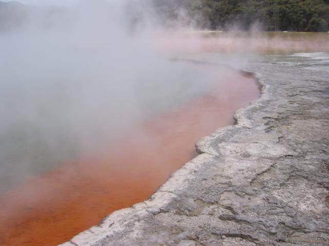 IMG_3312.JPG.jpg
