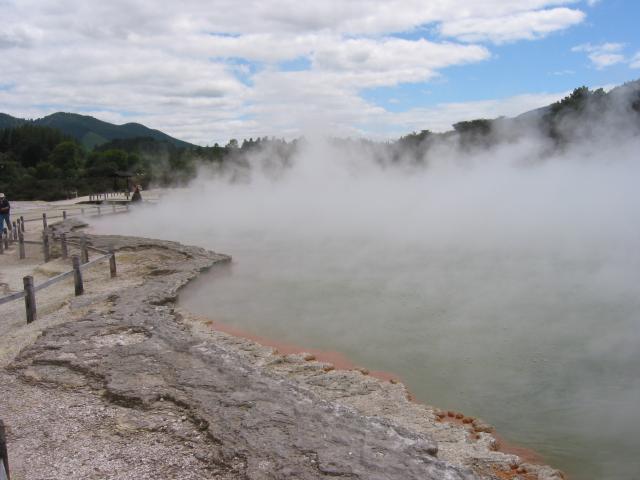 IMG_3339.JPG.jpg
