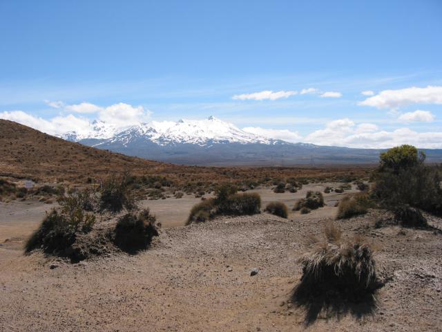 IMG_3352.JPG.jpg