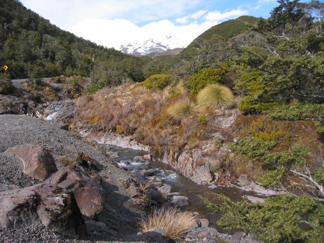 img_3362.jpg.jpg