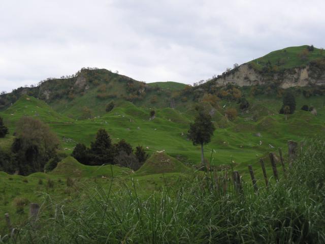 img_3389.jpg.jpg