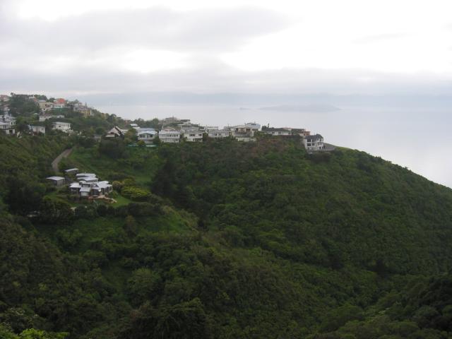 img_3392.jpg.jpg