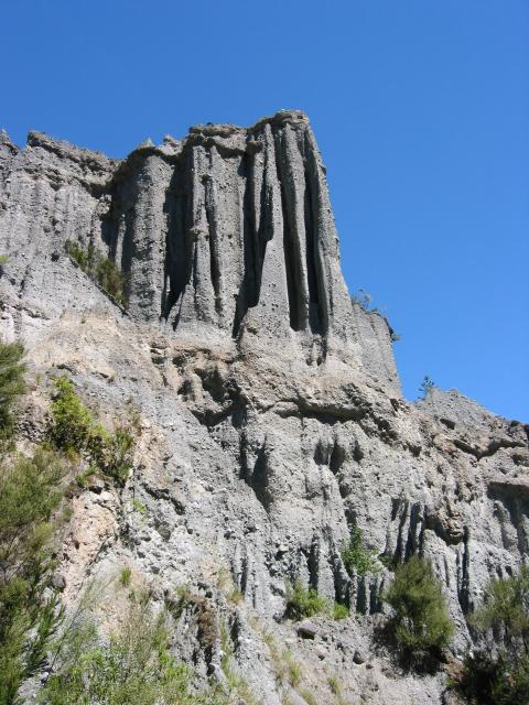 img_3457.jpg.jpg