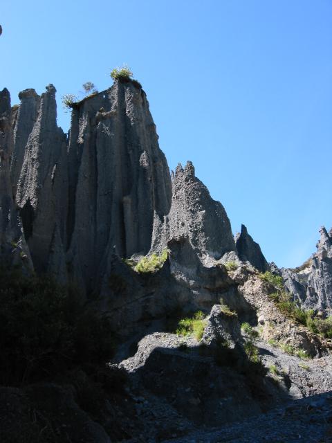 img_3459.jpg.jpg