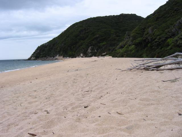 img_3521.jpg.jpg