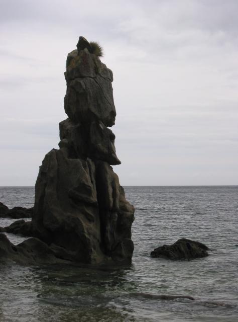 img_3530.jpg.jpg