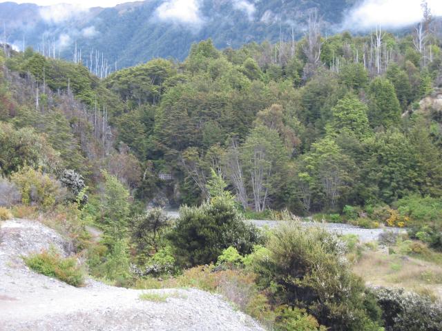 img_3682.jpg.jpg
