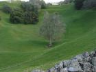 thumbs/IMG_3125.JPG.jpg