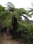 thumbs/IMG_3177.JPG.jpg
