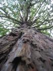 thumbs/img_3407.jpg.jpg