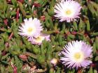 thumbs/img_3428.jpg.jpg