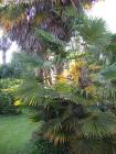 thumbs/img_3519.jpg.jpg