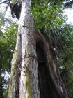 thumbs/img_3577.jpg.jpg