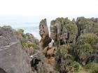 thumbs/img_3580.jpg.jpg