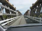 thumbs/img_3599.jpg.jpg