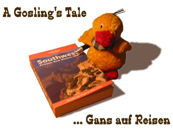 Nelli bei der Reisevorbereitung