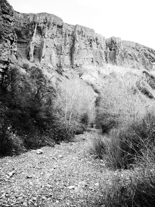 Wildwestlicher Creek