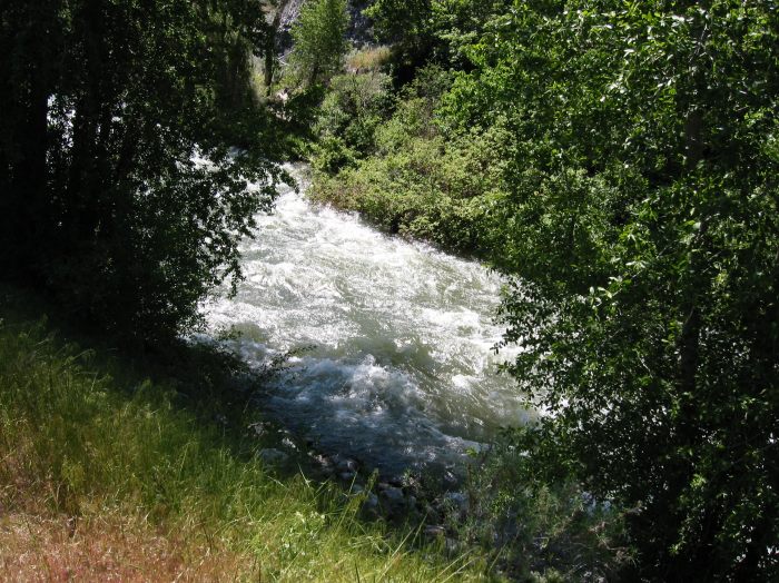 Rafting? Irgendwer interssiert?