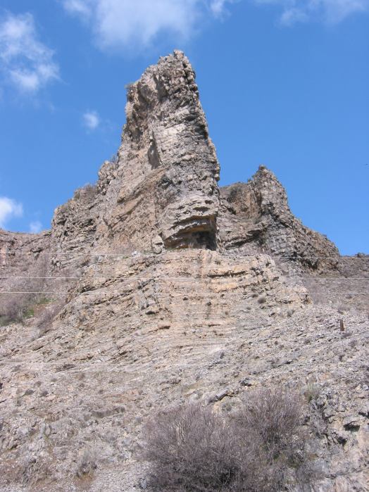 Felsnase