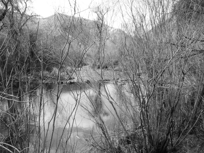 Provo River